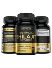 Shilajit Supplement 2-Pack (120 Capsules)